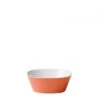 Mepal Schaal Conix 500 Ml 2 Mepal Schaal Conix 500 Ml -Mepal 80538 mepal schaal conix 500 ml